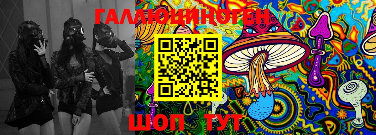 Псилоцибиновые грибы Psilocybine cubensis Мичуринск