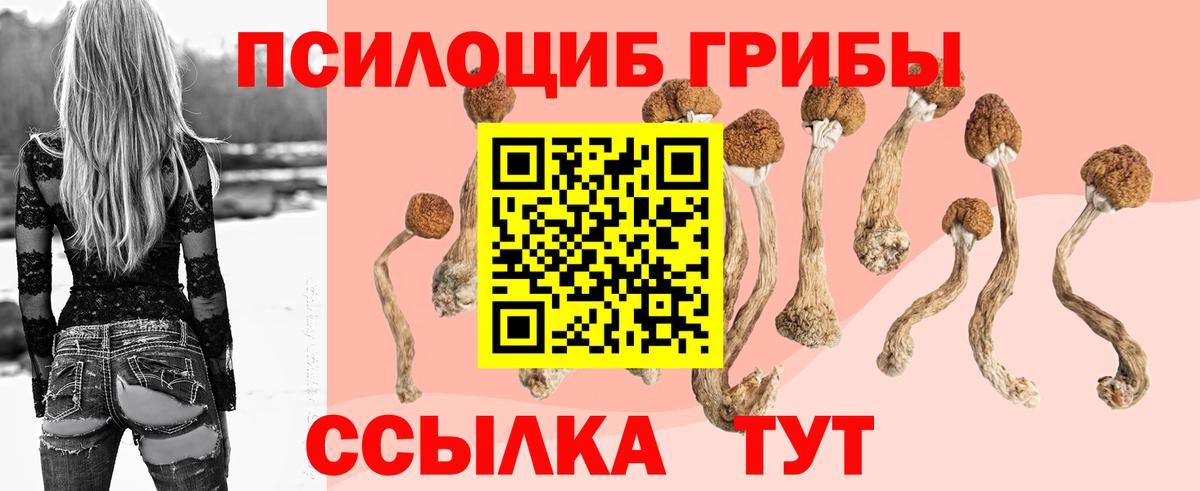 Мичуринск  где купить наркоту  Вход с VPN  Псилоцибиновые грибы Cubensis 